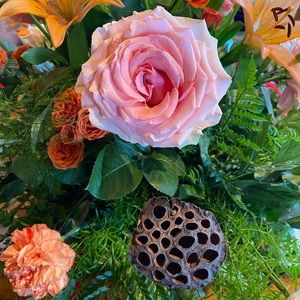 Meet your Posher, Tanya